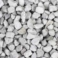 Seachem（シーケム） デ・ナイトレイト de nitrate 1L 400g 淡水・海水用 硝酸塩除去剤 44149 1個（直送品）