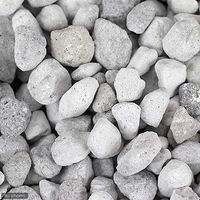 Seachem（シーケム） マトリックス Matrix 1L 淡水・海水用 多孔質ろ材 44174 1個（直送品）