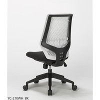 中央可鍛工業 スコルド2（SKOLD2） オフィスチェア ホワイト樹脂メッシュ 肘無し ブラック YC-210W BK 1脚（取寄品）