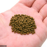 HIROSE 超高機能性活性底床材 ブルカミアD 8Kg 10000 1個（直送品）