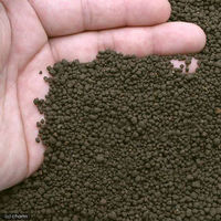 Shirakura（シラクラ） RED BEE SAND レッドビーサンド 8kg 14491 1個（直送品）