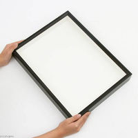 志賀昆虫 特製ドイツ型標本箱 178856 1個（直送品）