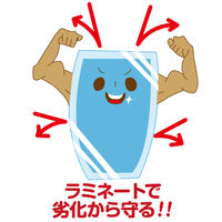 アスカ ラミネートフィルム A3 100μm 500枚セット BH915 1箱(500枚:100枚入×