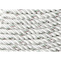 エスコ 14mmx 30m ナイロンロープ(両側アイ加工) EA628MC-141A 1巻（直送品）