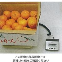 エスコ 100kg(500g) デジタル台はかり EA715SE-1 1台（直送品）