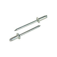 エビ リベット（300） NS55EB 1箱（300本入） ロブテックス（直送品）