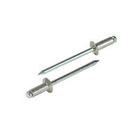 エビ リベット（300） NSA53KEB 1箱（300本入） ロブテックス（直送品）