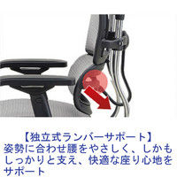 【組立設置込】エルゴヒューマン ベーシック ハイタイプ背メッシュ オレンジ 座モールドクッション ブラック 独立式ランバーサポート付 可動肘付 1脚（取寄品）