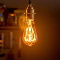 TIC 本体 1灯ペンダントライト ブラス TC-1004-BS 1個（直送品）