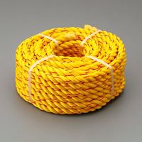 エスコ 16mmx20m 親綱ロープ(交換用) EA998MB-220 1巻（直送品）