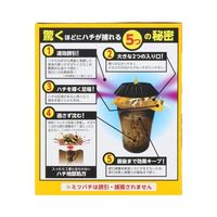 エスコ ハチ捕獲器(ハチがホイホイ) EA941D-82 1セット(10個)（直送品）