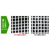 エスコ 300ml 虫よけスプレー(虫コナーズアミ戸用) EA941E-7 1セット(10個:1個×10本)（直送品）