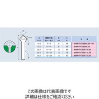 WM 穴付カウンターシンク90°15DxL55 HSSCo 【WMHTC15S8L55】 WMHTC15S8L55 1セット(2本)（直送品）