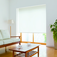 ロールスクリーン 厚手 TR-1082 950×1100mm シャンパン 1台（直送品）