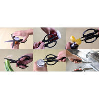 佐竹産業 キッチンバサミ チタンコーティング 261015 1個（直送品）