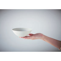 ミヤザキ食器 ボウル 14cm ANGIE アンジー 磁器 マットグレー 415893 1個（直送品）