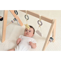 シンセーインターナショナル プレイジム よぞらのプレイジム 赤ちゃん 北欧 0歳 426019 1個（直送品）