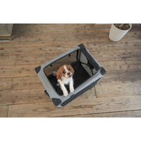 シンセーインターナショナル ペットキャリー 折りたたみ 簡単 ペットクレートワンタッチ M バッグ グレー 439247 1個（直送品）