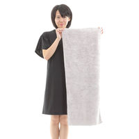 タオル ヘアタオル 40×100cm 思わず頬ずりしたくなるタオル ANGEL STEP Premium ライトグレー 449658 1個（直送品）