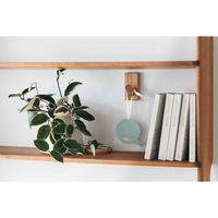 大香 サシェ Queue ペーパーフレグランス フィコ 461306 1個（直送品）