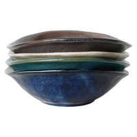 ミヤザキ食器 カレー皿 24cm オーバル 窯変 磁器 ネイビー 463641 1個（直送品）