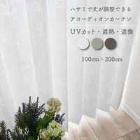 加栄レース アコーディオンカーテン アラベスク柄 フリーカット 100×200cm UVカット ホワイト 469361 1個（直送品）