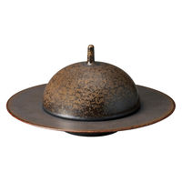 ミヤザキ食器 プレート コスタヴェルデ アングリー グルメプレート 28.8cm ブラウン 476176 1個（直送品）