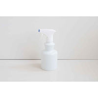 ネクスト スプレーボトル スプレー ラシプーロ 陶器 486860 1個（直送品）