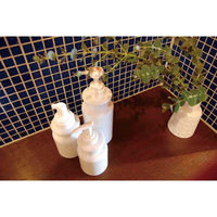 ネクスト ディスペンサー ラシプーロ ソープポンプ 陶器 486952 1個（直送品）