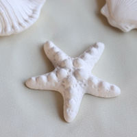 ネクスト アロマストーン シーベース 陶器 ヒトデ 488414 1個（直送品）