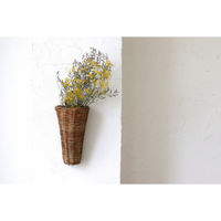 クレエ バスケット アラログ ウォールハンギングバスケット 492777 1個（直送品）