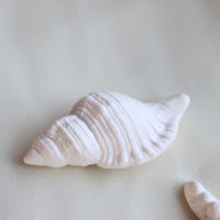 ネクスト アロマストーン シーベース 陶器 スネイル 488416 1個（直送品）