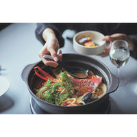 ミヤザキ食器 土鍋 9号 Karl IH対応 軽量土鍋 ベージュ 413001 1個（直送品）