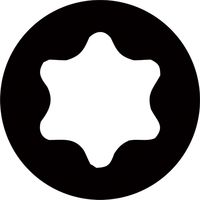 ピービ―スイスツールズ 6.35差込 E6ビットシリーズ 段付へクスローブビット T2 全長50mm E6.400/2ー50 1本（直送品）