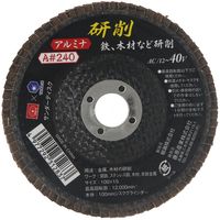 藤原産業 SK11 サンダーディスクA #240 100mm 10枚組 SSDーA240/10 1セット(3組)（直送品）