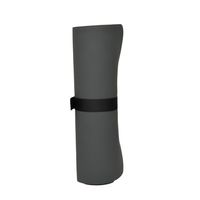 石崎電機製作所 フードウォーマー SEW-F250G 1ケ（直送品）