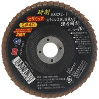 藤原産業 SK11 サンダーディスクS #40 100mm 10枚組 SSDーS040/10 1組（直送品）