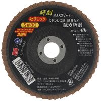 藤原産業 SK11 サンダーディスクS #80 100mm 10枚組 SSDーS080/10 1組（直送品）