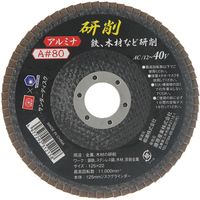 藤原産業 SK11 サンダーディスクA #80 125mm 1枚 SSD125ーA080 1セット(8枚)（直送品）