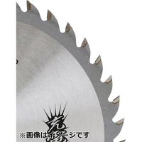 藤原産業 SK11 充電かまいたち 石膏ボード用チップソー 100×32P SB100ー32 1セット(3枚)（直送品）