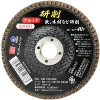 藤原産業 SK11 サンダーディスクA #60 100mm 1枚 SSDーA060 1セット(21枚)（直送品）
