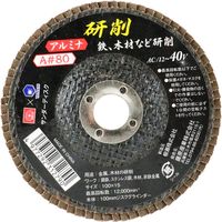 藤原産業 SK11 サンダーディスクA #80 100mm 1枚 SSDーA080 1セット(21枚)（直送品）