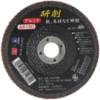 藤原産業 SK11 サンダーディスクA #180 100mm 1枚 SSDーA180 1セット(21枚)（直送品）