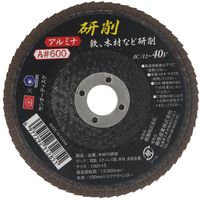 藤原産業 SK11 サンダーディスクA #600 100mm 1枚 SSDーA600 1セット(21枚)（直送品）