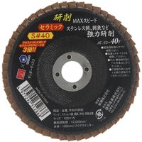 藤原産業 SK11 サンダーディスクS #40 100mm 1枚 SSDーS040 1セット(6枚)（直送品）