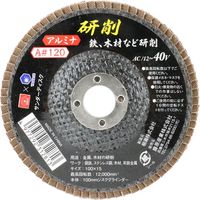 藤原産業 SK11 サンダーディスクA #120 100mm 10枚組 SSDーA120/10 1セット(3組)（直送品）