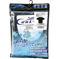 藤原産業 SK11 極冷 長袖クルーネックシャツ ブラック Lサイズ 522212BKーL 1セット(2枚)（直送品）