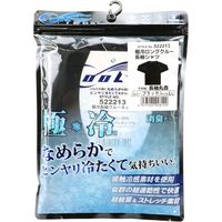 藤原産業 SK11 極冷 長袖クルーネックシャツ ブラック LLサイズ 522213BKーLL 1セット(2枚)（直送品）