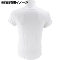 藤原産業 SK11 バンブ― 半袖Vネックシャツ ホワイト Lサイズ 523492WHーL 1セット(3枚)（直送品）