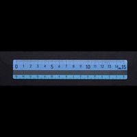 レイメイ藤井 直線定規 ヨクミエルーラー 15cm ブルー APJ1368A 1セット(1個×10)（直送品）